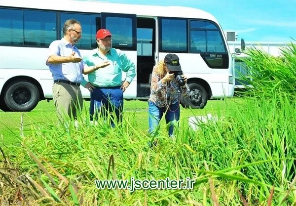 دیوید راکفلر جونیور و مؤسسه ایری