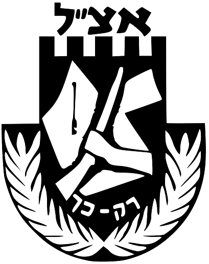 ایرگون