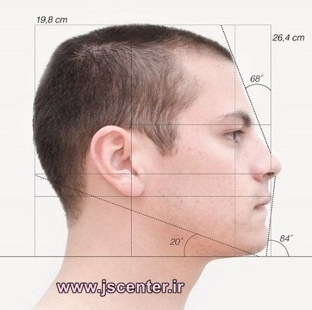 میزان هوش و زاویهی صورت