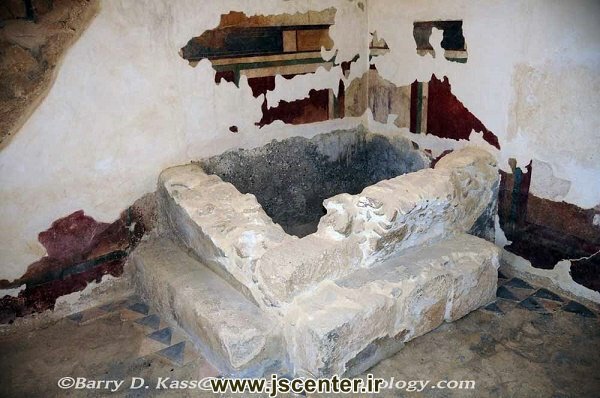 بقایای یک میکوه در بنایی سلطنتی در ماسادا