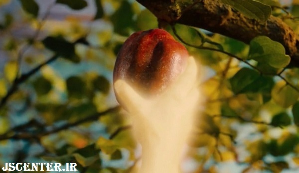 نوح تکامل آدم و حوا
