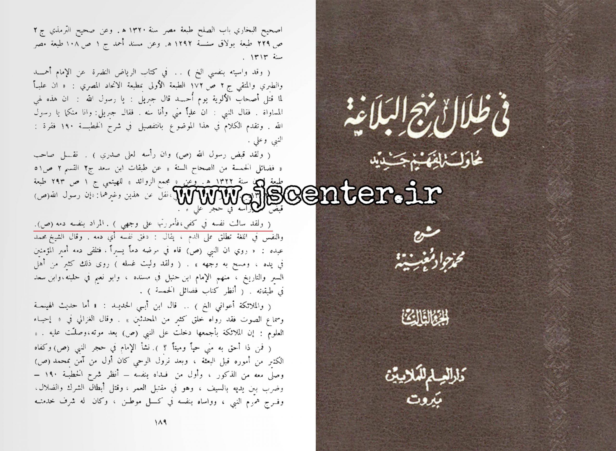 شهادت پیامبر در شرح فی ظلال نهجالبلاغه