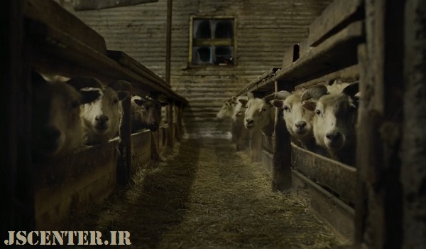 ورود بافومت در فیلم Lamb