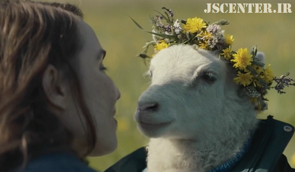 محبت انسان به بره دورگه در فیلم Lamb