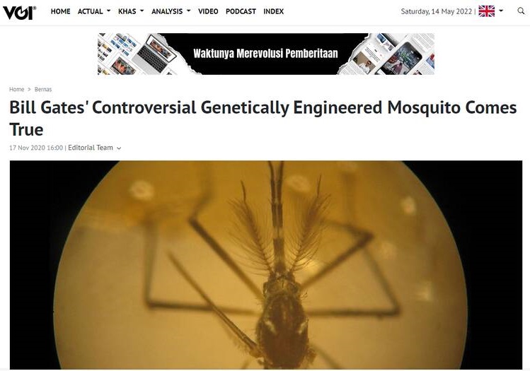پشه‌های دستکاری ژنتیک شده بیل گیتس