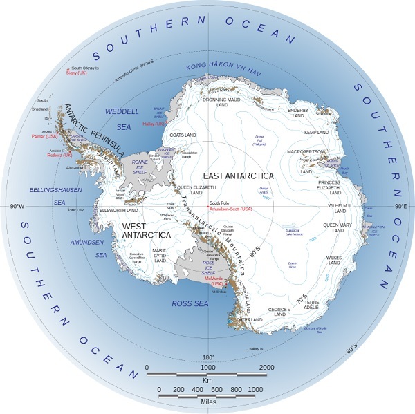 جنوبگان در قطب جنوب Antarctica