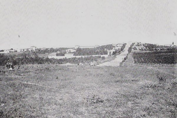 شهر ریشون لتسیون اسرائیل 1899