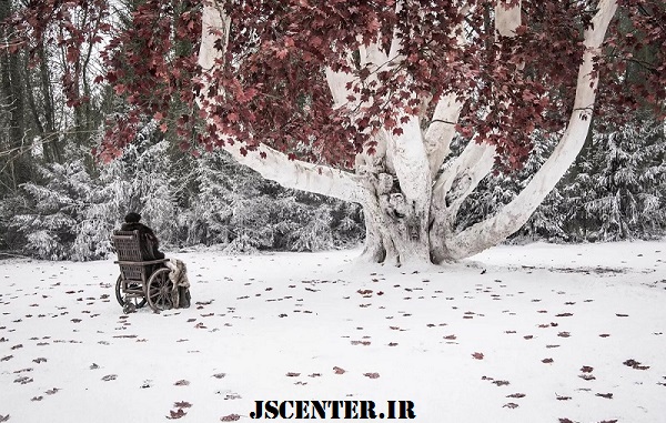 درخت ارواح در بازی تاج و تخت Game of Thrones - The Weirwood Tree‏