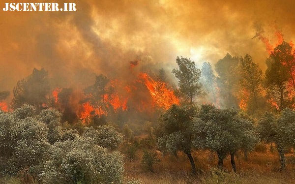 تغییرات اقلیمی و آتشسوزی جنگلها مقدمه خوردن حشرات 1