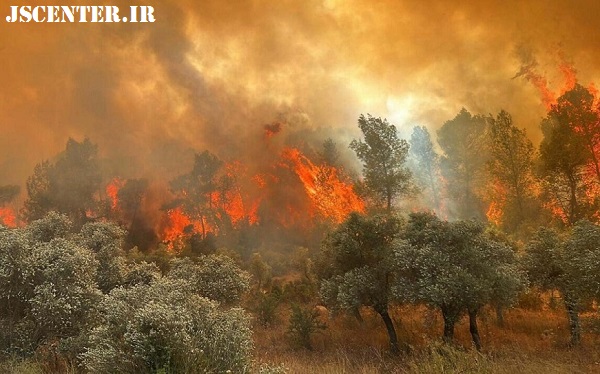 تغییرات اقلیمی و آتش‌سوزی جنگل‌ها مقدمه خوردن حشرات 1