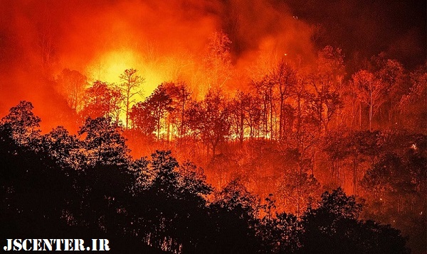 تغییرات اقلیمی و آتش‌سوزی جنگل‌ها مقدمه خوردن حشرات 2