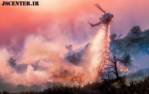 تغییرات اقلیمی و آتش‌سوزی جنگل‌ها مقدمه خوردن حشرات 4