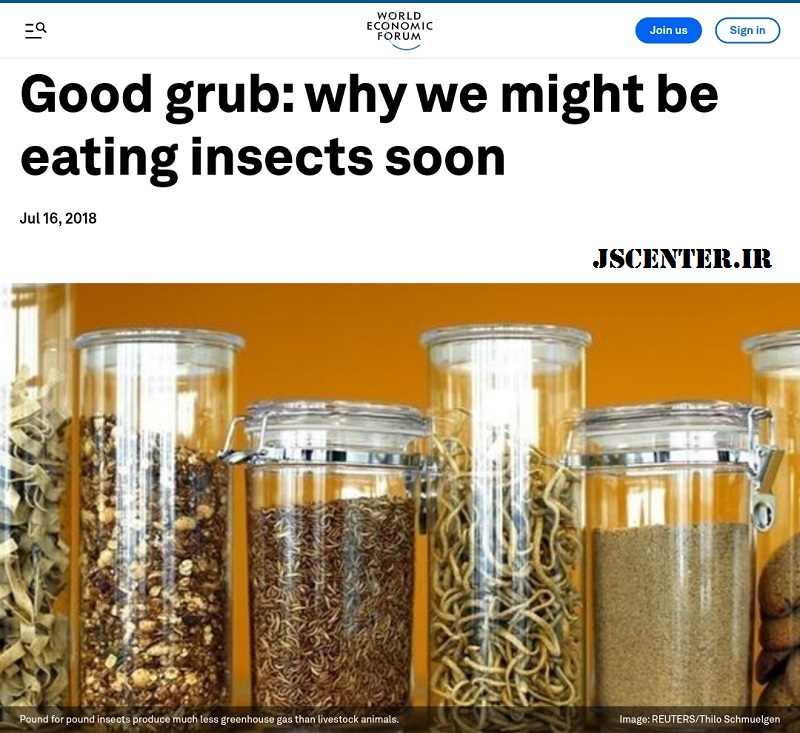 مقاله مجمع جهانی اقتصاد درباره خوردن حشرات